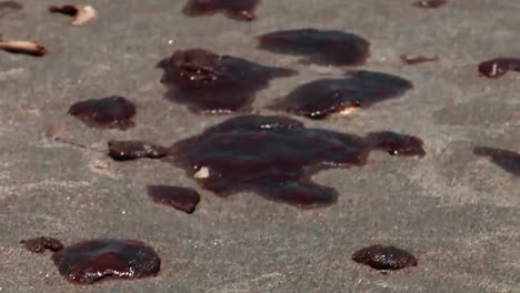 dense tar balls on the beach of the mississippi river at the south pass from the deepwater horizon bp/gulf oil spill