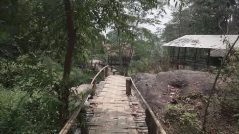 bamboo path through the forest in pai, northern thailand