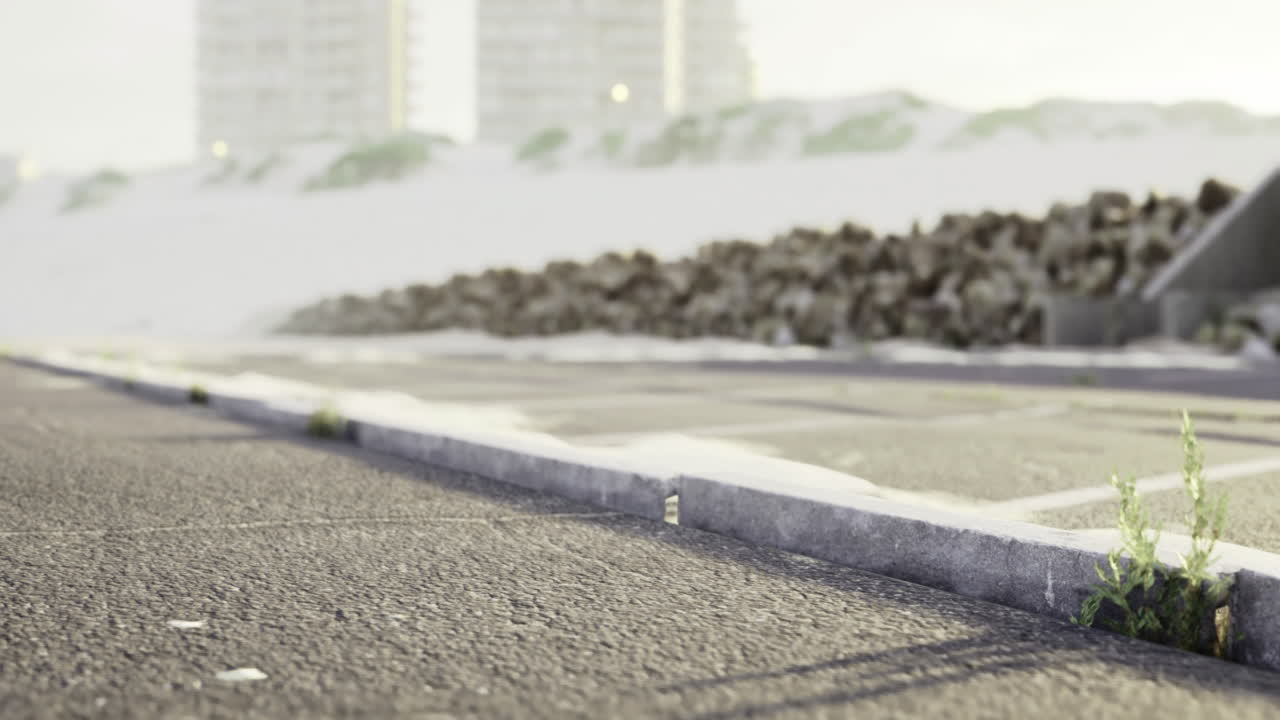 Abandoned parking lot showing nature reclaiming urban space during sunset