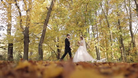 newlyweds. caucasian groom with bride in the park. wedding couple. happy family