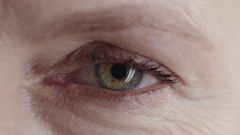 primer plano de una mujer madura de ojo verde mirando a la cámara arrugas femeninas envejecidas