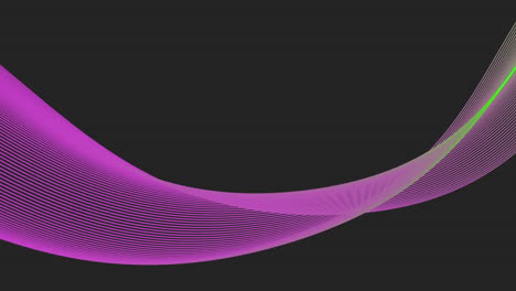 abstract purple and green curved lines on black background