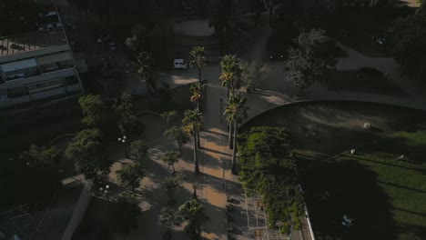 Aerial-view-over-Ines-de-Suarez-Park-at-Santiago-de-Chile-with-trees-in-the-scene-on-a-sunny-day