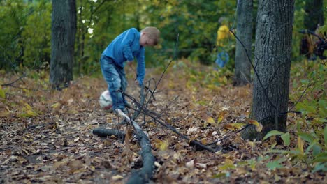 Little-boy-is-trying-to-tear-a-big-branch-1