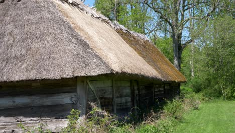 close up of a traditional barn house with thatched roof at countryside in halland, sweden