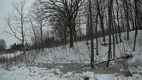 winter-in-the-forest-area-of-Gorowo,-Bartoszyce-County,-Warmian-Masurian-Voivodeship,-Poland