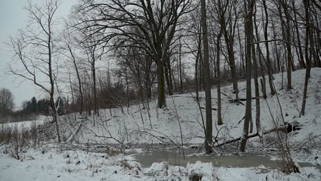 invierno en la zona forestal de gorowo, condado de bartoszyce, voivodato de warmian-masuria, polonia