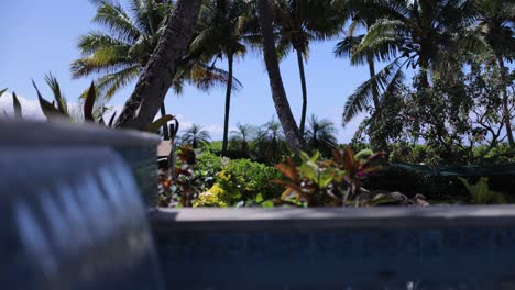 rising shot of hot tub waterfall and butterfly flying above the green shrubs