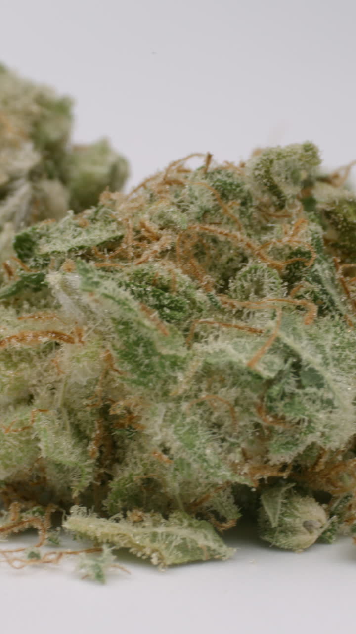 대마초 이 수직으로 가게