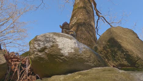 isolierte kleine elfenskulptur auf einem felsen entlang des invorio-weges der elfen in italien