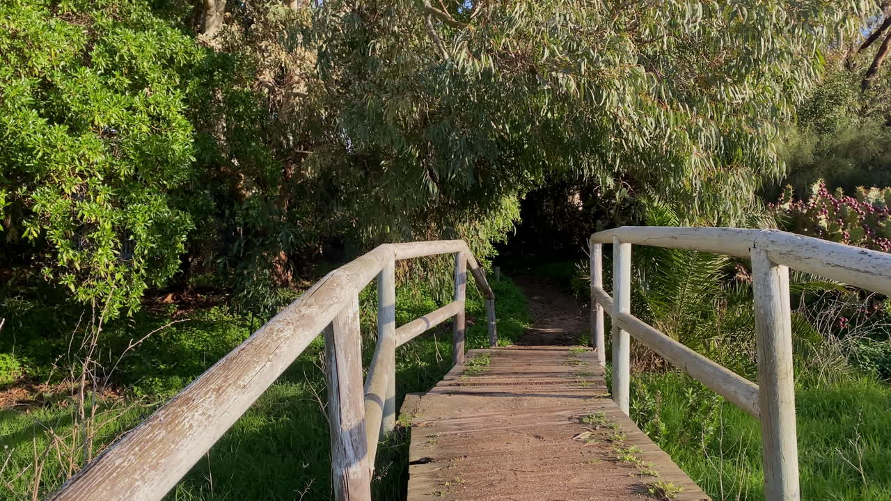 Wooden footbridge surrounded by lush greenery connects coastal paths after rainfall