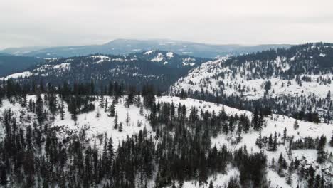 Paisaje-Invernal-De-La-Región-De-Thompson-nicola:-Tiro-De-Seguimiento-A-La-Derecha-De-Las-Colinas-Del-Bosque-En-Capas-Cubiertas-De-Nieve-En-Un-Día-Nublado