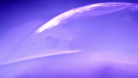 macro shot of a purple sphere glowing in the dark