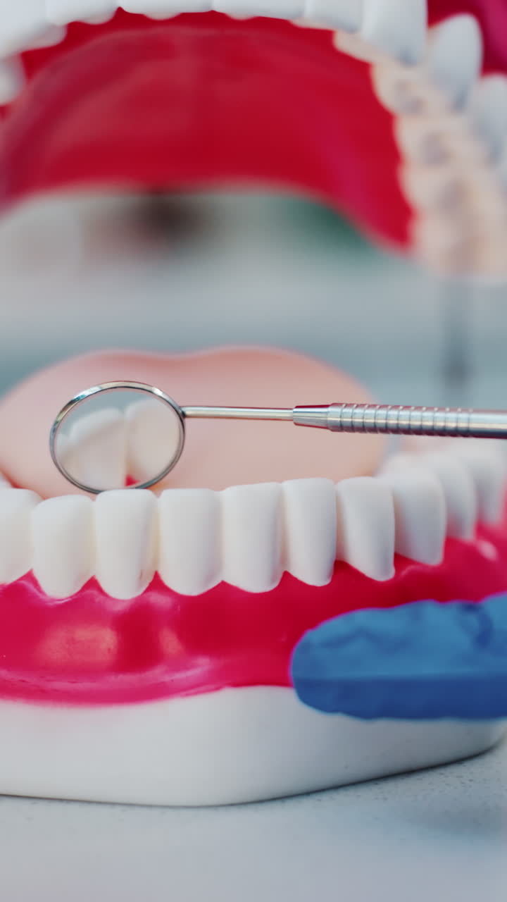 Dentista che ispeziona i denti su un modello dentale con uno specchietto.
