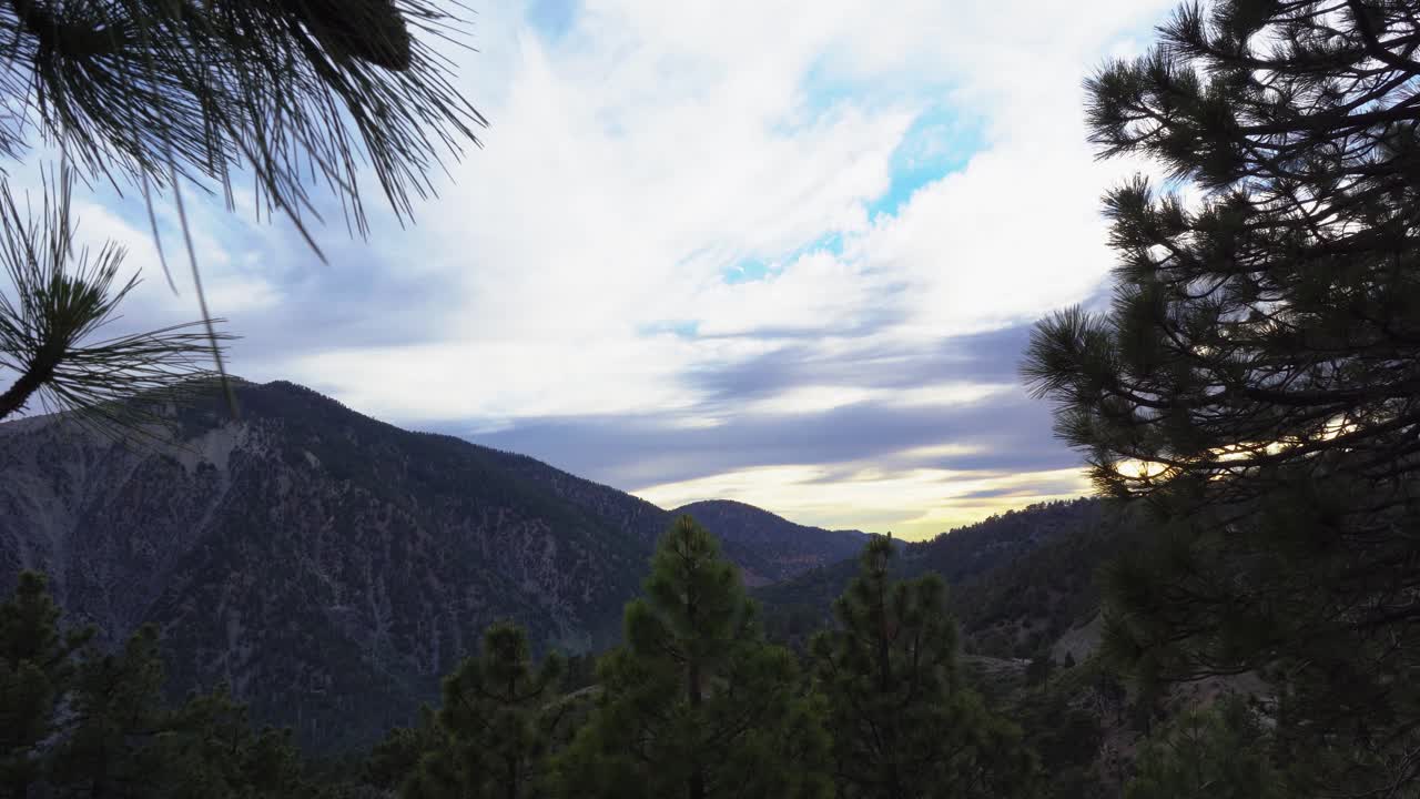 Pine cone tree in foreground panning to the right with mountain in the background