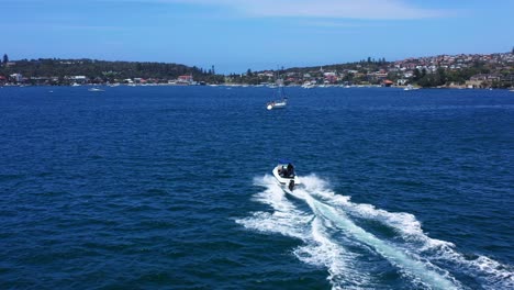 sydney - vaucluse speedboat ride