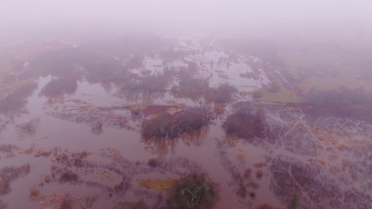 Drone captures eerie spring fog over flooded Sventāja River valley, Latvia