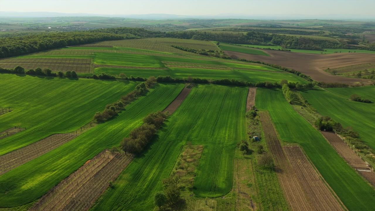 Aerial drone view of wide patchwork farmland with green crop strips, plowed fields and vineyard rows under a clear sky, with distant tree lines and hills, Moravia, Czech Republic.