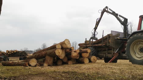 Traktor-Mit-Kran-Beim-Verladen-Von-Baumstämmen-Auf-Einem-Stapel-Neben-Einem-Sägewerk