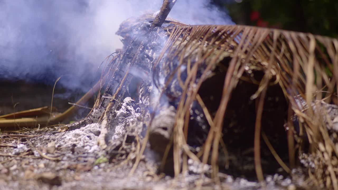 Bon fire with tree log and branches, white ash emitting smoke