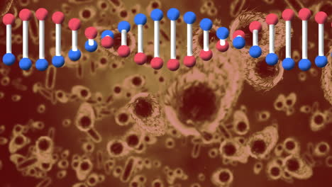 animación del giro de la cadena de adn y las células macro covid 19