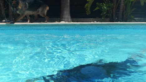 una cámara entra en una piscina desde el lado