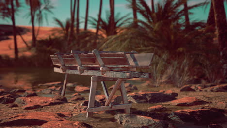 banco de madera en un oasis del desierto