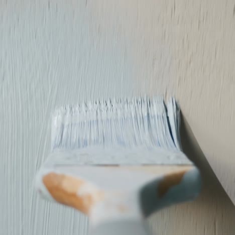 builder paints wall brush view