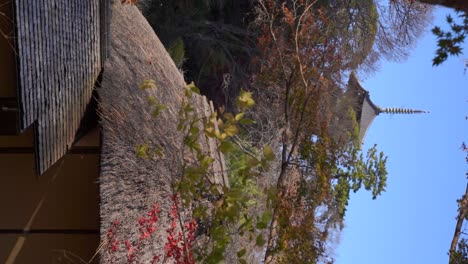 vertical view of typical japanese pagoda and straw roof building in fall