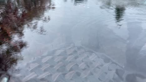 Gotas-De-Lluvia-Goteando-Sobre-Superficie-Húmeda-Clara-Cerrar-Detalle-Ondulación-Cámara-Lenta