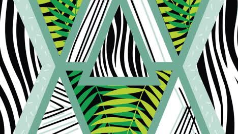 animation of backgroud with triangles in zebra pattern and leaves