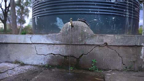 Öffnen-Sie-Sauberes-Leitungswasser,-Das-Wasser-In-Den-Abfall-Gießt