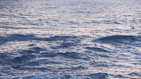 ocean waves at sunrise/sunset