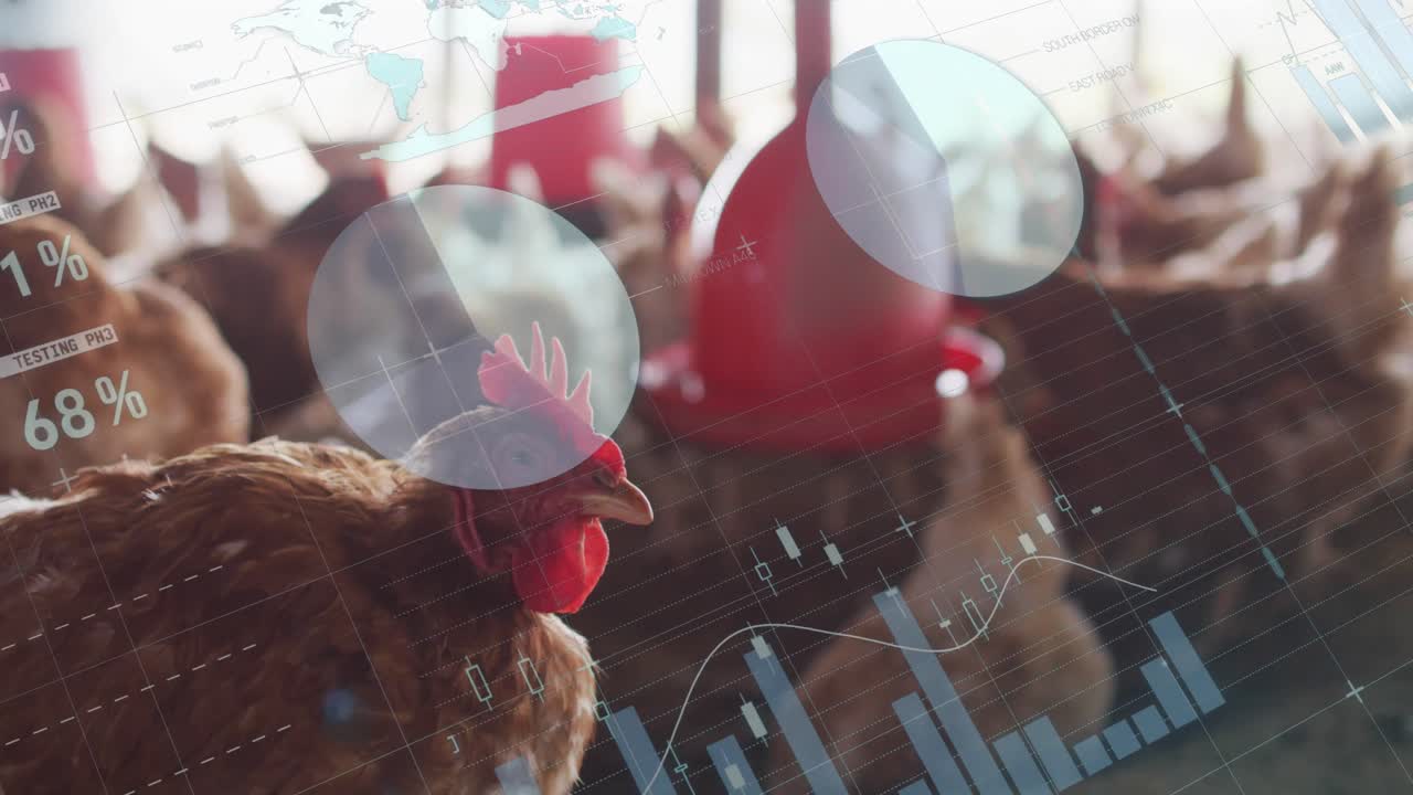 농장에서  ⁇ 에 대한 금융 데이터 처리의 활성화