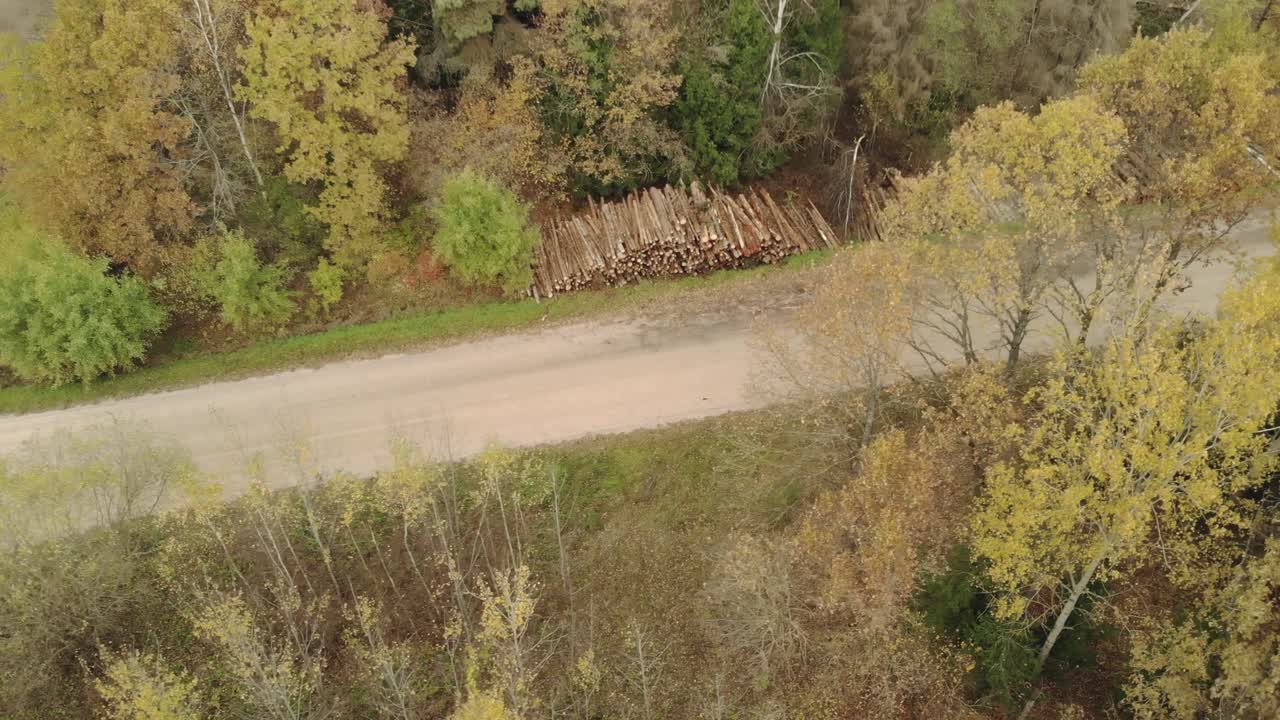 pilas de troncos, troncos de árboles cortados, apilados a lo largo de la carretera de grava