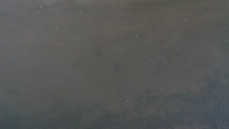 high angle view of water surface with sediment