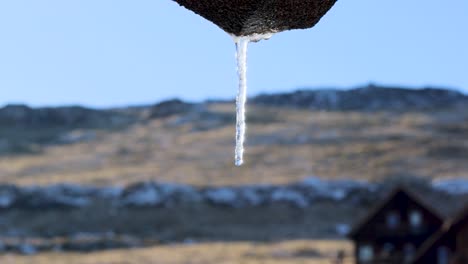 snow melting icicle with water dripping