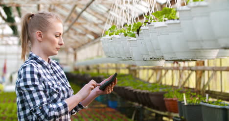 Gardener-Examining-Flowers-In-Greenhouse-Agriculture-4