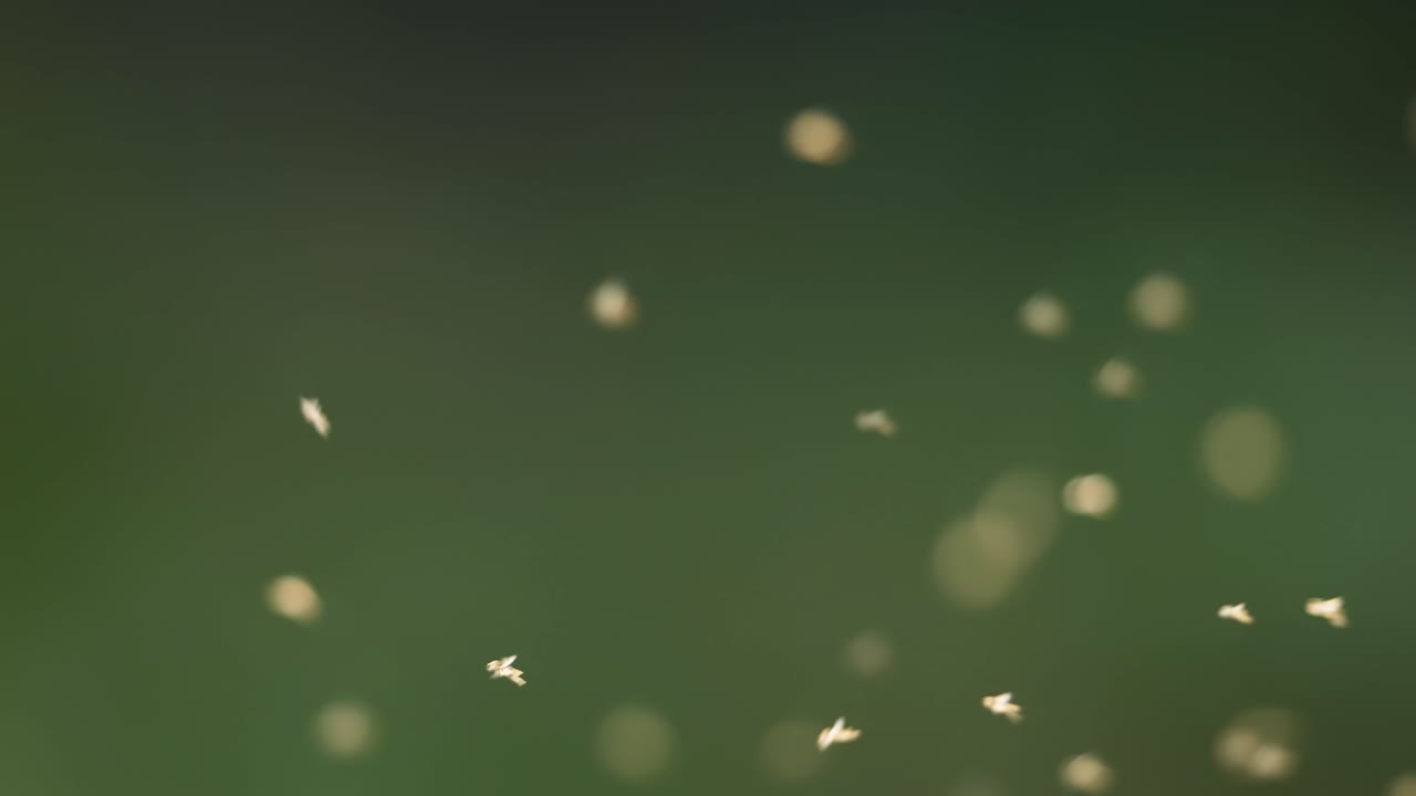 Abstract Blurred Particles in Motion