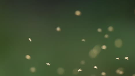 abstract blurred particles in motion