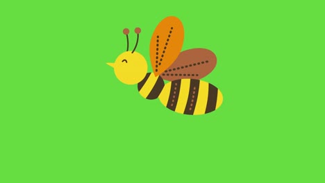 video en 4k de una abeja de dibujos animados en fondo verde.
