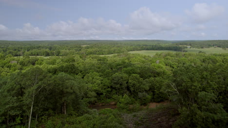 árboles y bosques elevados y hacia campos verdes en un hermoso día en el campo