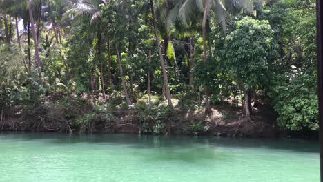 sailing on the loboc river in the philippines