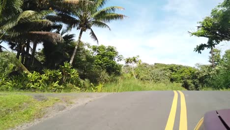 在夏威夷島的<unk>林道路上開車的時間,太陽發光,從路上可以看到各種植物和樹木