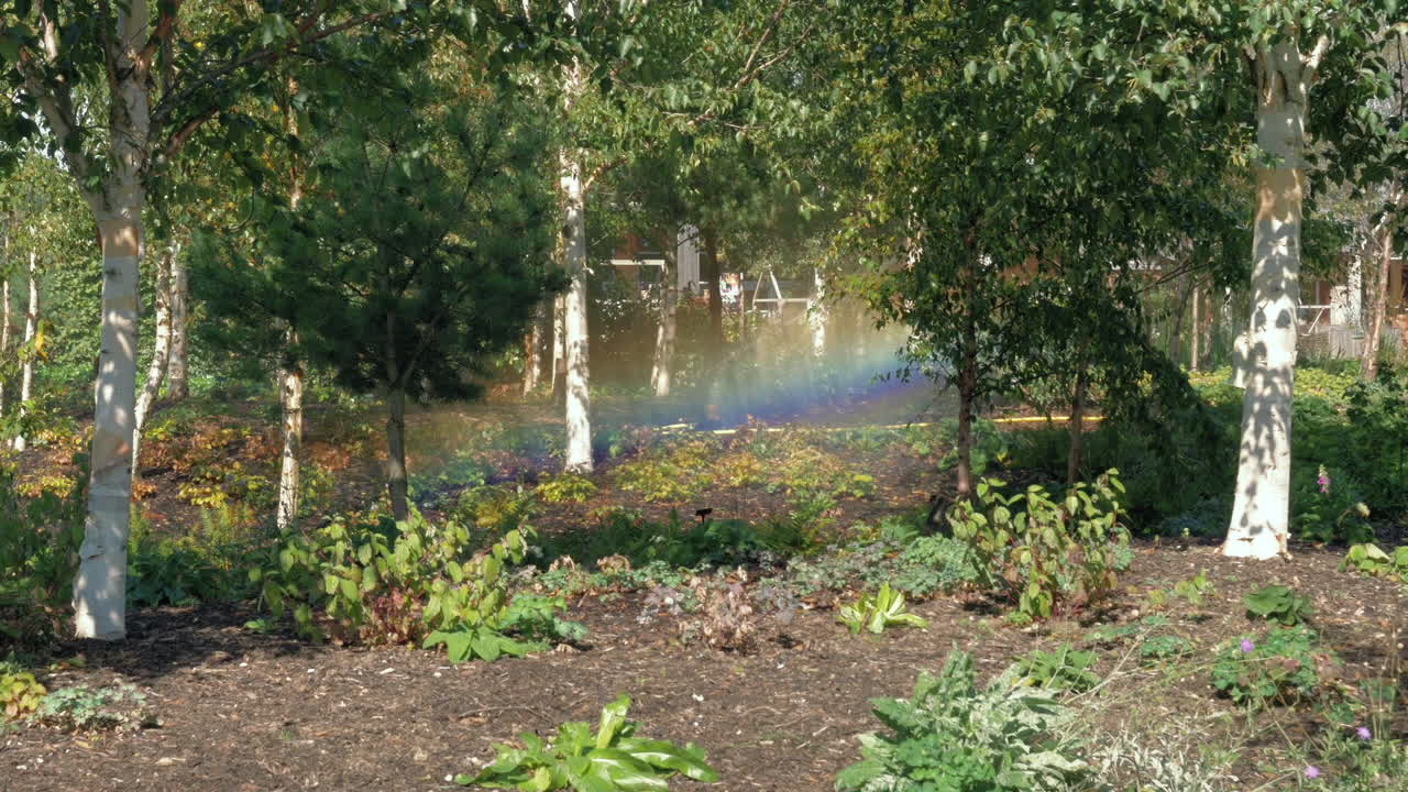 sistema de rociadores en zona boscosa, creando un arco iris bajo el sol, bloqueado
