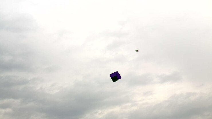 A bird group flying with Kites in the cloudy sky, The traditional hand made kites in Pakistan and India