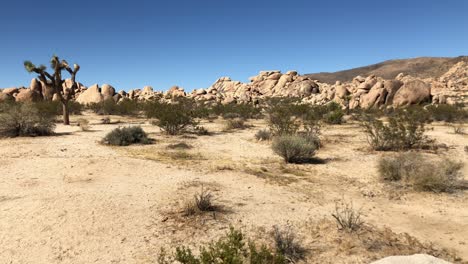 Slow-panorama-of-Joshua-Tree-National-Park,-California