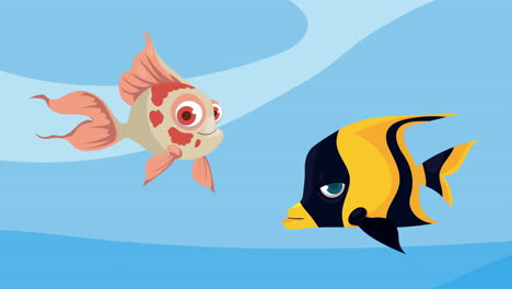 two cartoon fish