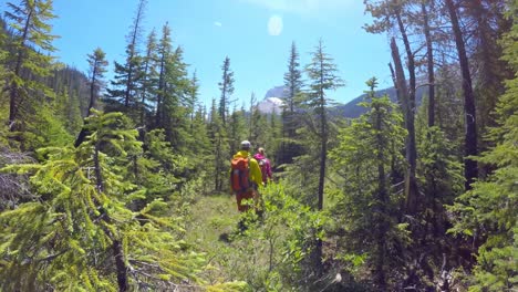 Couple-hiking-in-the-mountain-4k