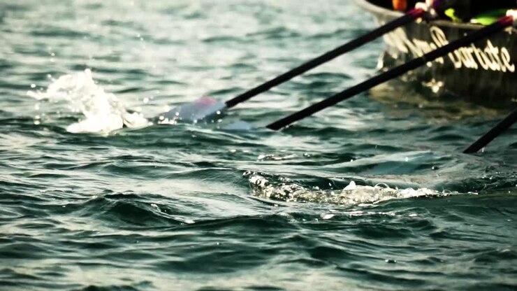 Athletes training successfully for competition with rowing boat oars in water
